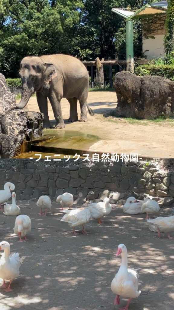 2024年高校生部門最優秀賞